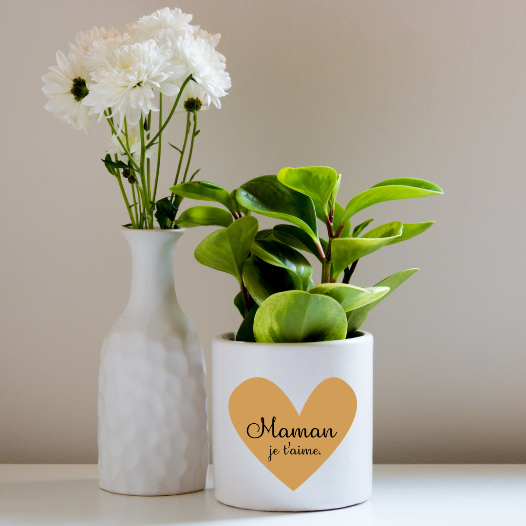 Mini caches-pots en céramique de 11 oz, idée cadeau pour Mamie ou Maman
